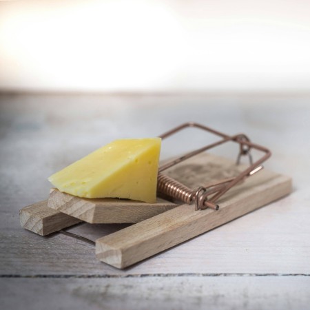 ZATIRANJE-SKODLJIVCEV